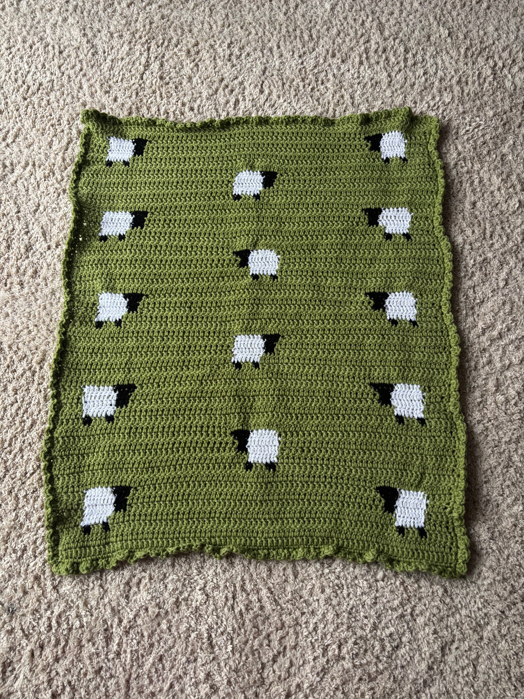The little flock baby blanket