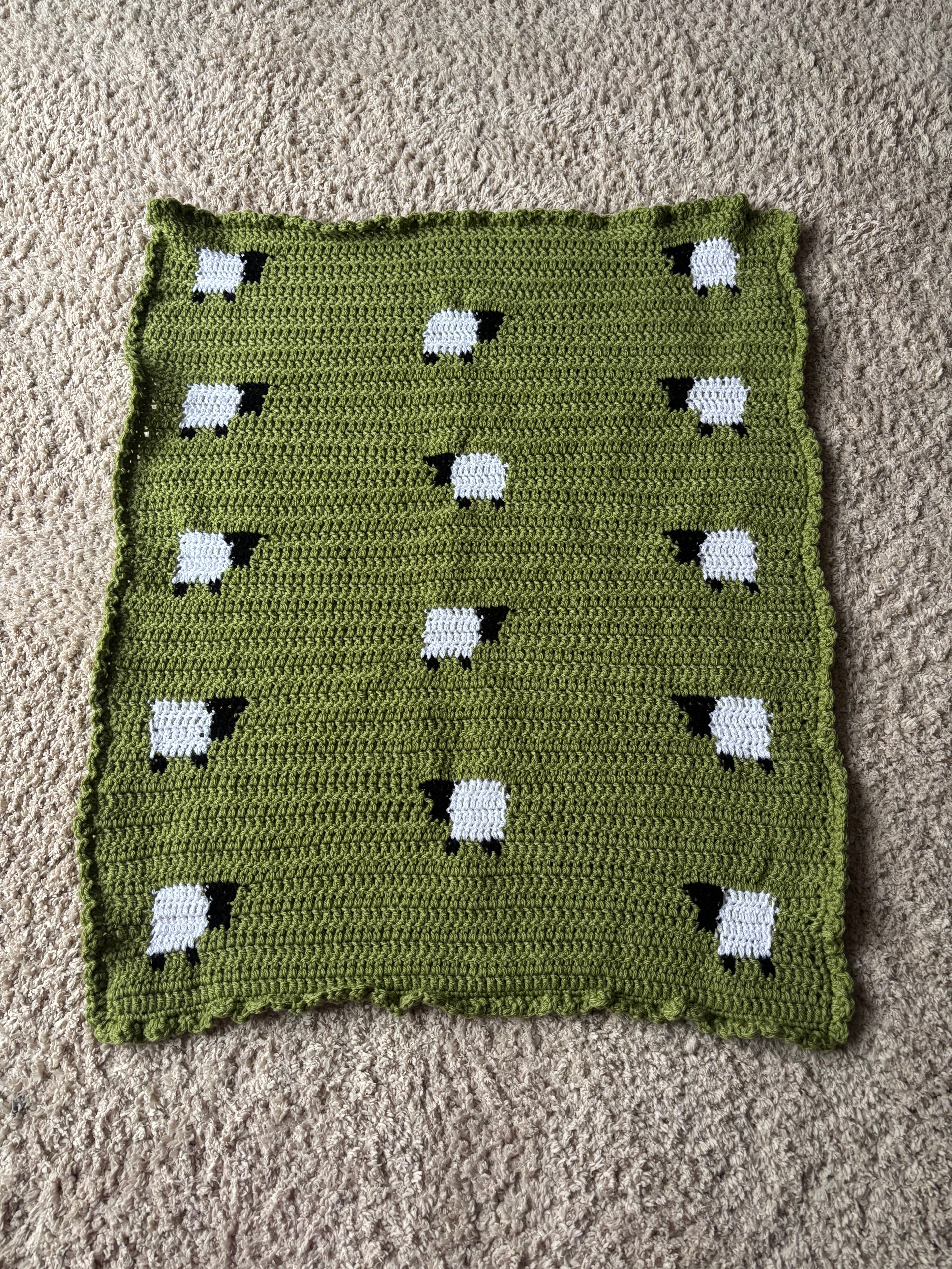 The little flock baby blanket