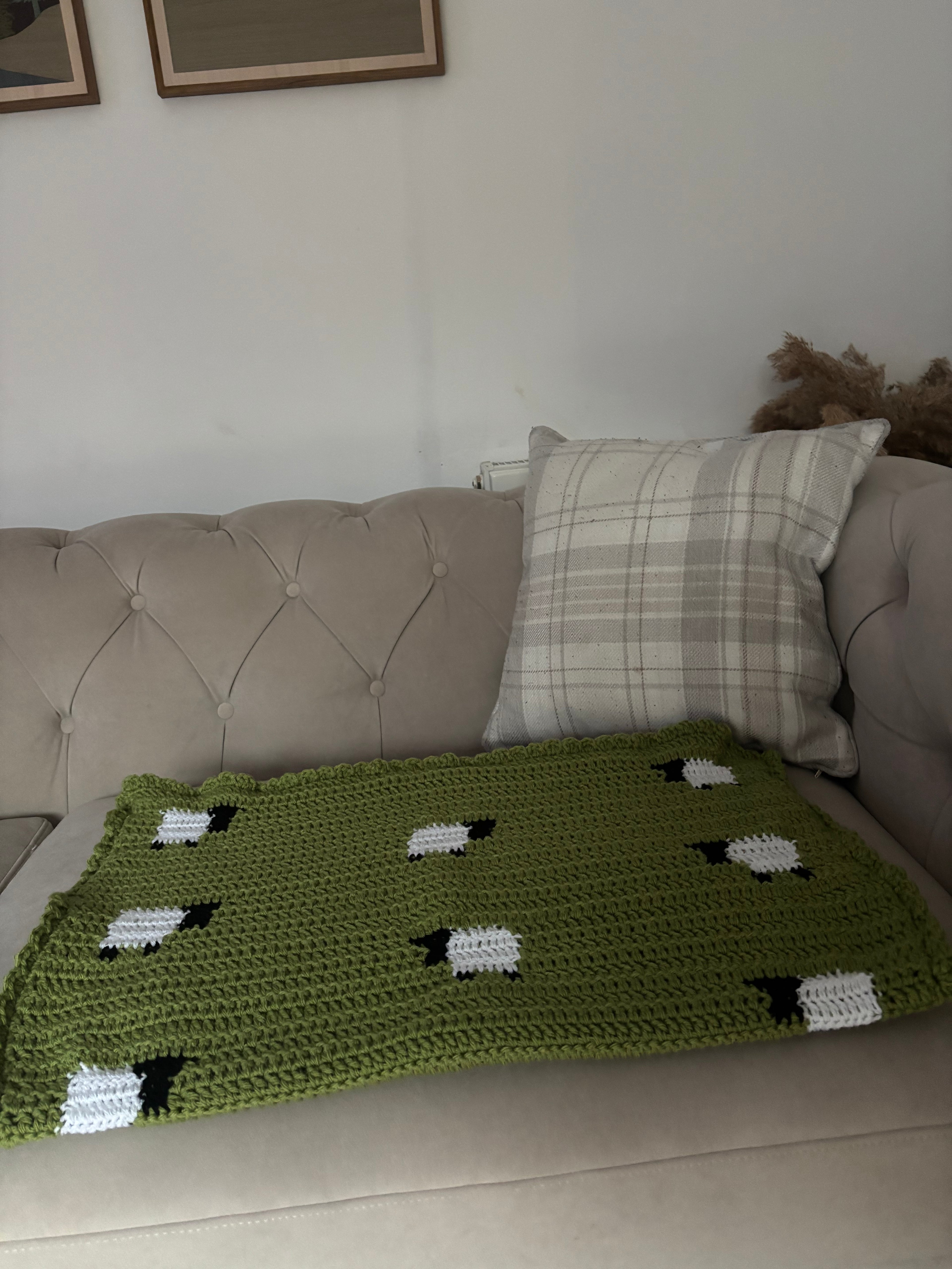 The little flock baby blanket